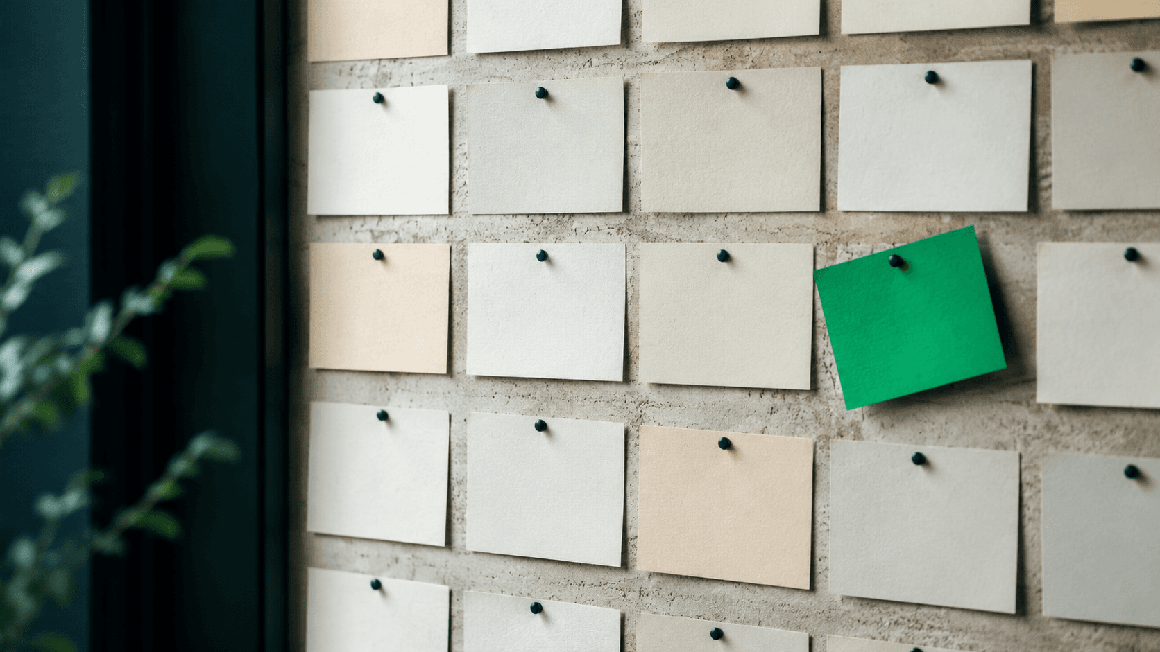 Un mur de fiches de postes vierges dont une verte — le marché de l'emploi non publié